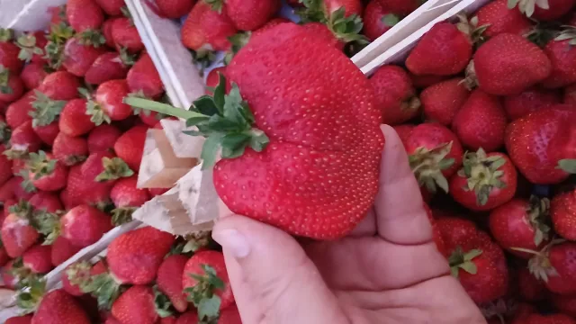 Клубника